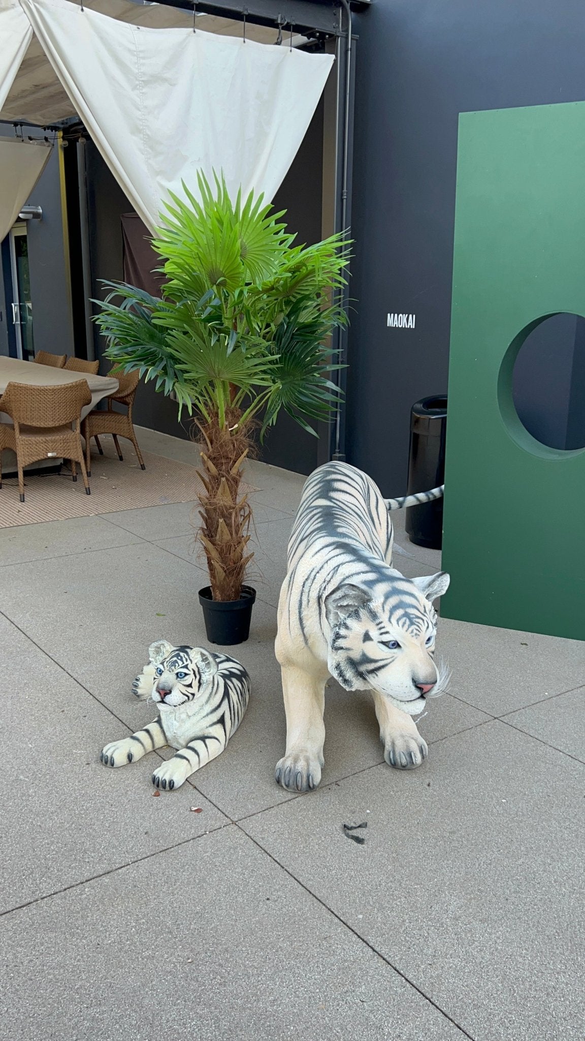 Package Siberian Tiger - Custom Prop Rentals