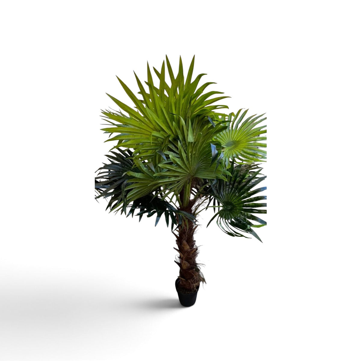 Palm Fan - Custom Prop Rentals