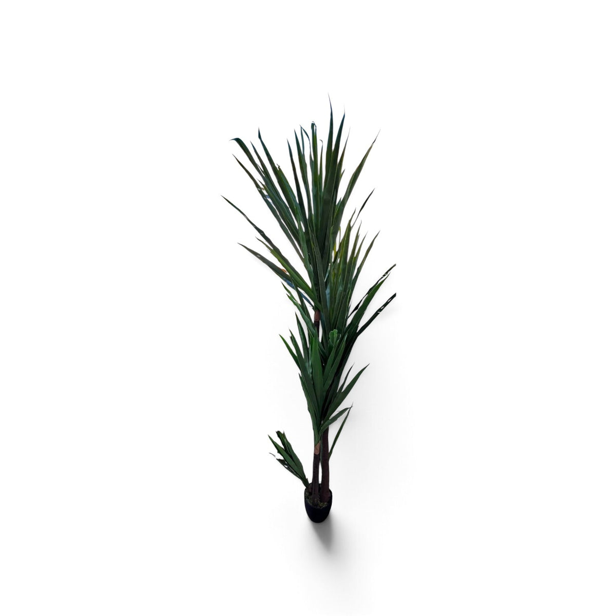Palm Spike - Custom Prop Rentals