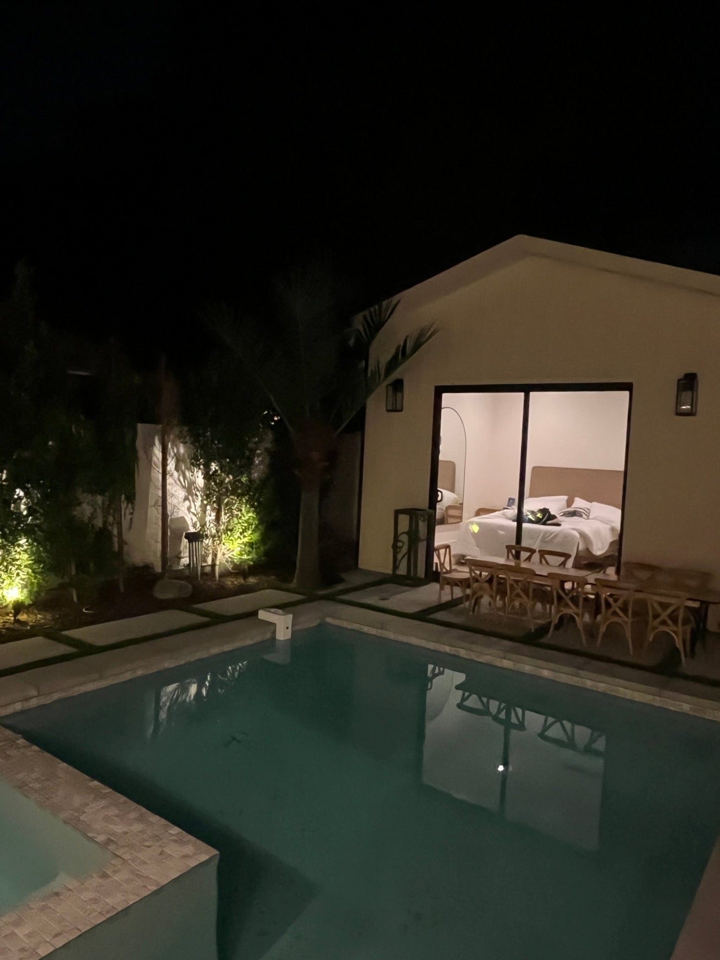 Palm Tree 10ft - Custom Prop Rentals