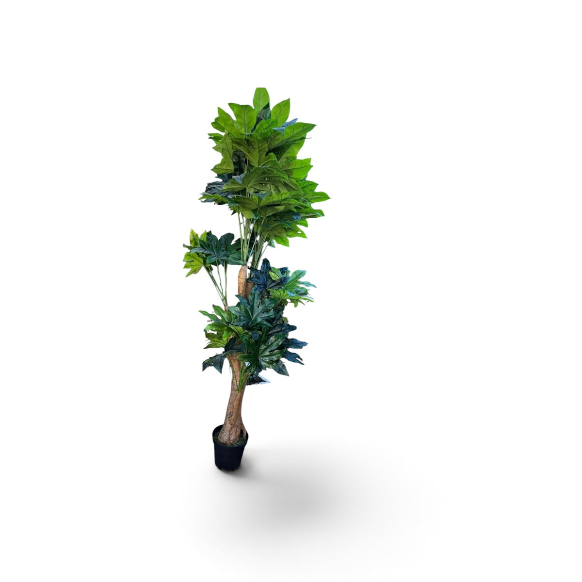 Palm Tree - Custom Prop Rentals