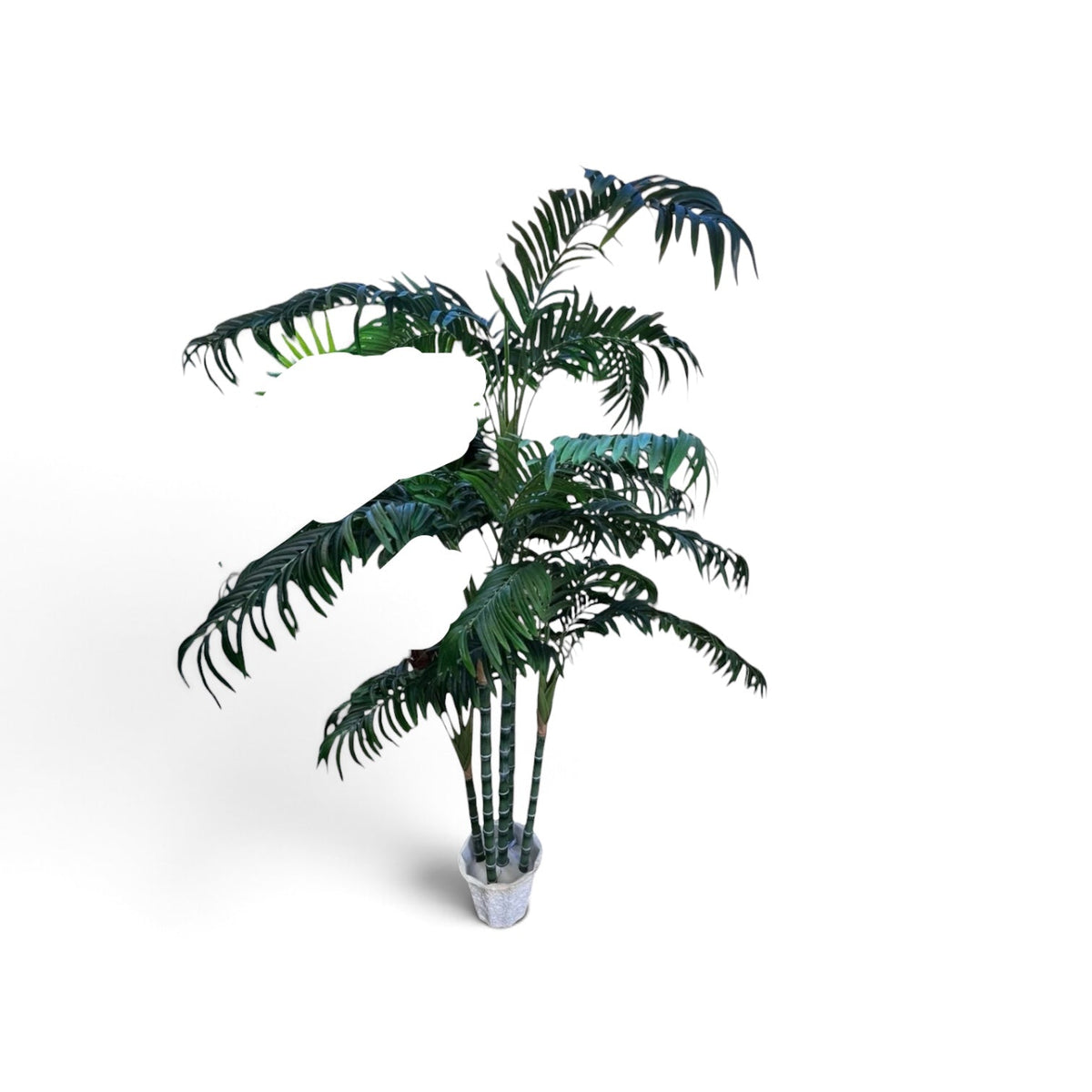 Palm Tree - Custom Prop Rentals