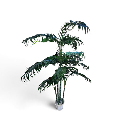 Palm Tree - Custom Prop Rentals