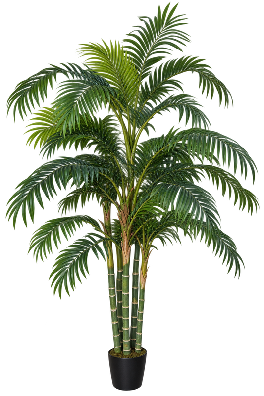 Palm Tree 6ft - Custom Prop Rentals