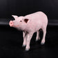 Pig Standing Adult - Custom Prop Rentals