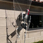 Pirate Skeleton - Custom Prop Rentals