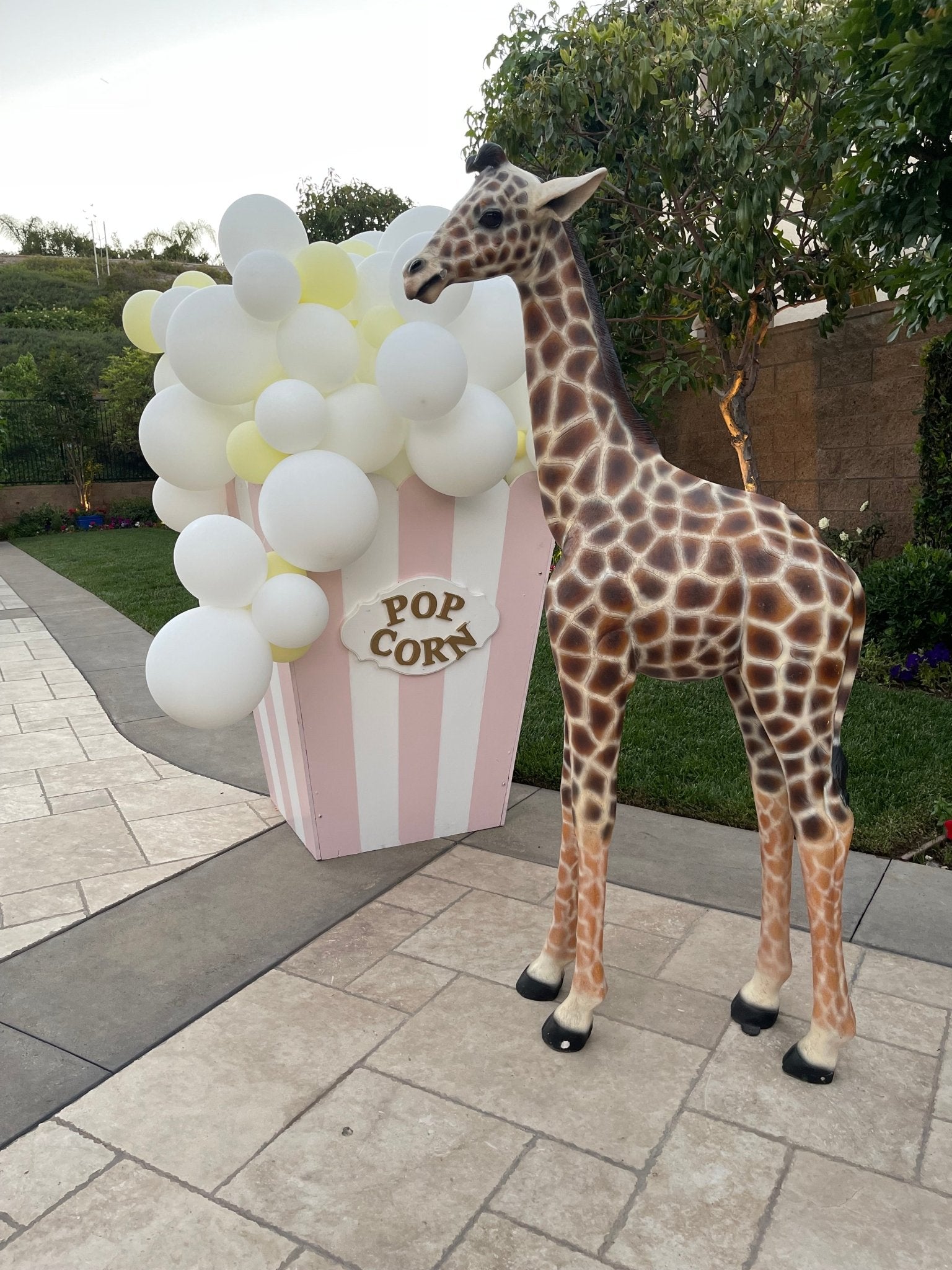 Popcorn Box Pink & White - Custom Prop Rentals