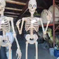 Skeleton Standing 8ft Animated