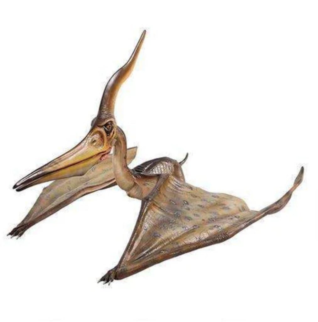 Pteranodon Dinosaur - Custom Prop Rentals