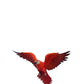 Red Macaw Flying Parrot - Custom Prop Rentals
