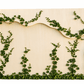 Safari Backdrop 3D - Custom Prop Rentals