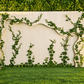Safari Backdrop 3D - Custom Prop Rentals