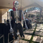 Skeleton Full Body - Custom Prop Rentals