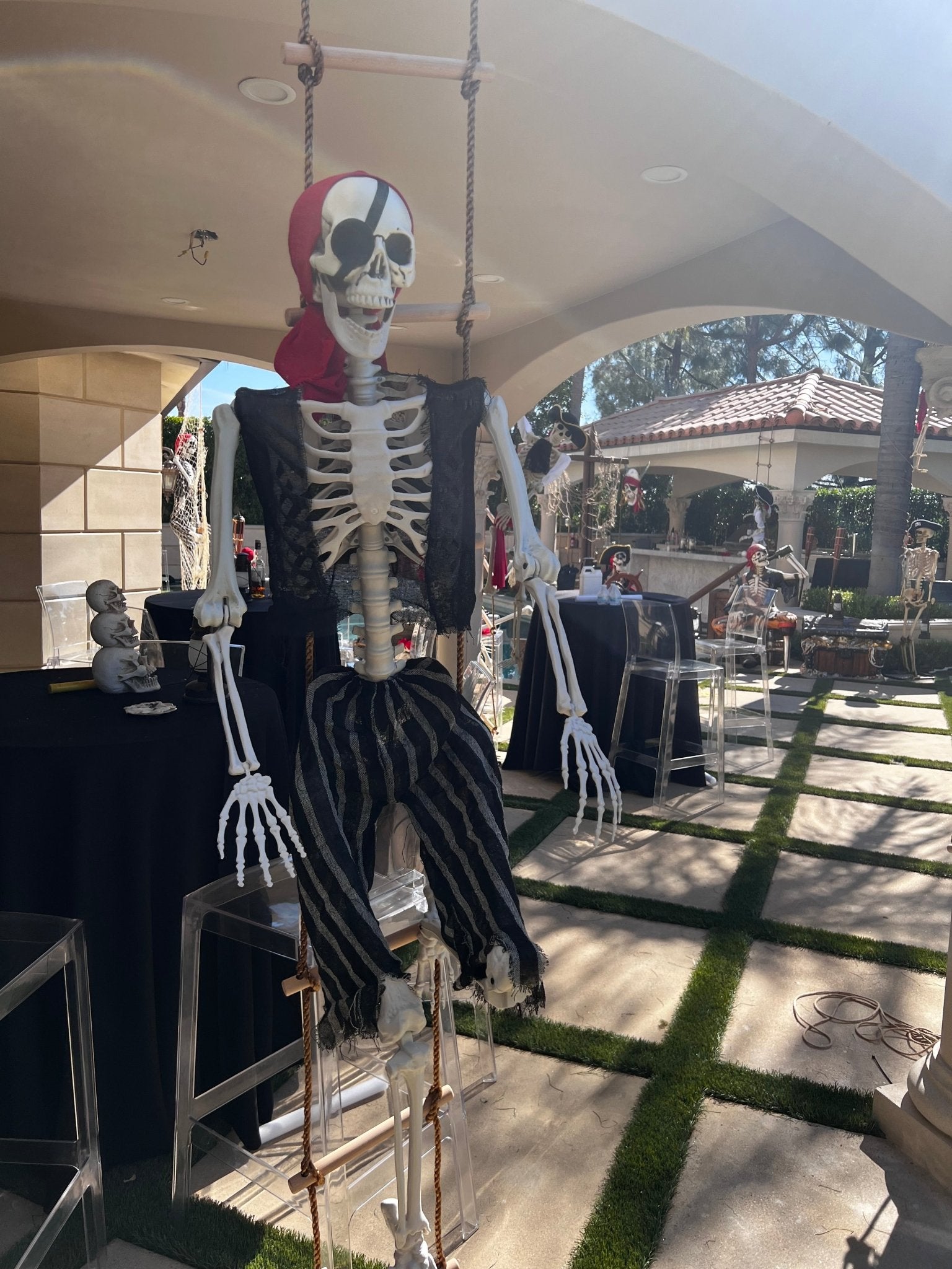 Skeleton Full Body - Custom Prop Rentals