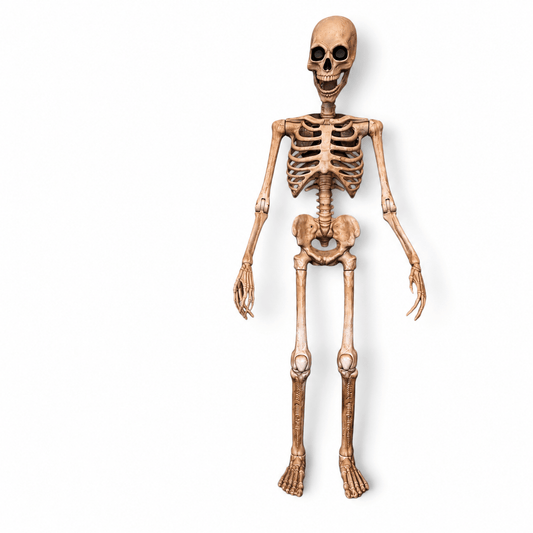 Skeleton Standing 8ft Animated - Custom Prop Rentals