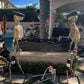 Skeletons Carrying a Coffin - Custom Prop Rentals