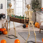 Skeletons Carrying a Coffin - Custom Prop Rentals