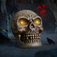 Skull Head Large with LED - Custom Prop Rentals