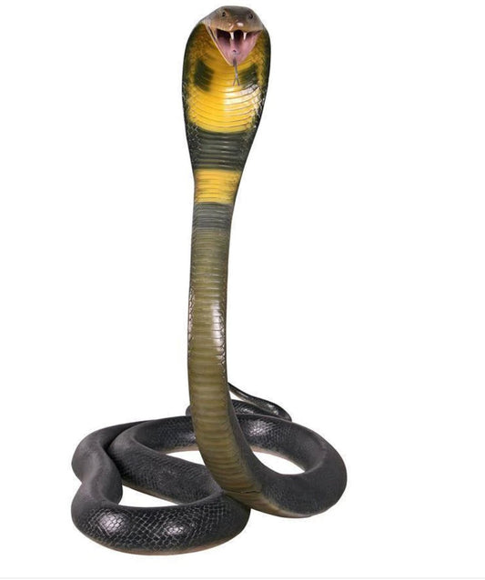 Snake King Cobra - Custom Prop Rentals
