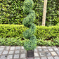 Spiral Topiaries - Custom Prop Rentals