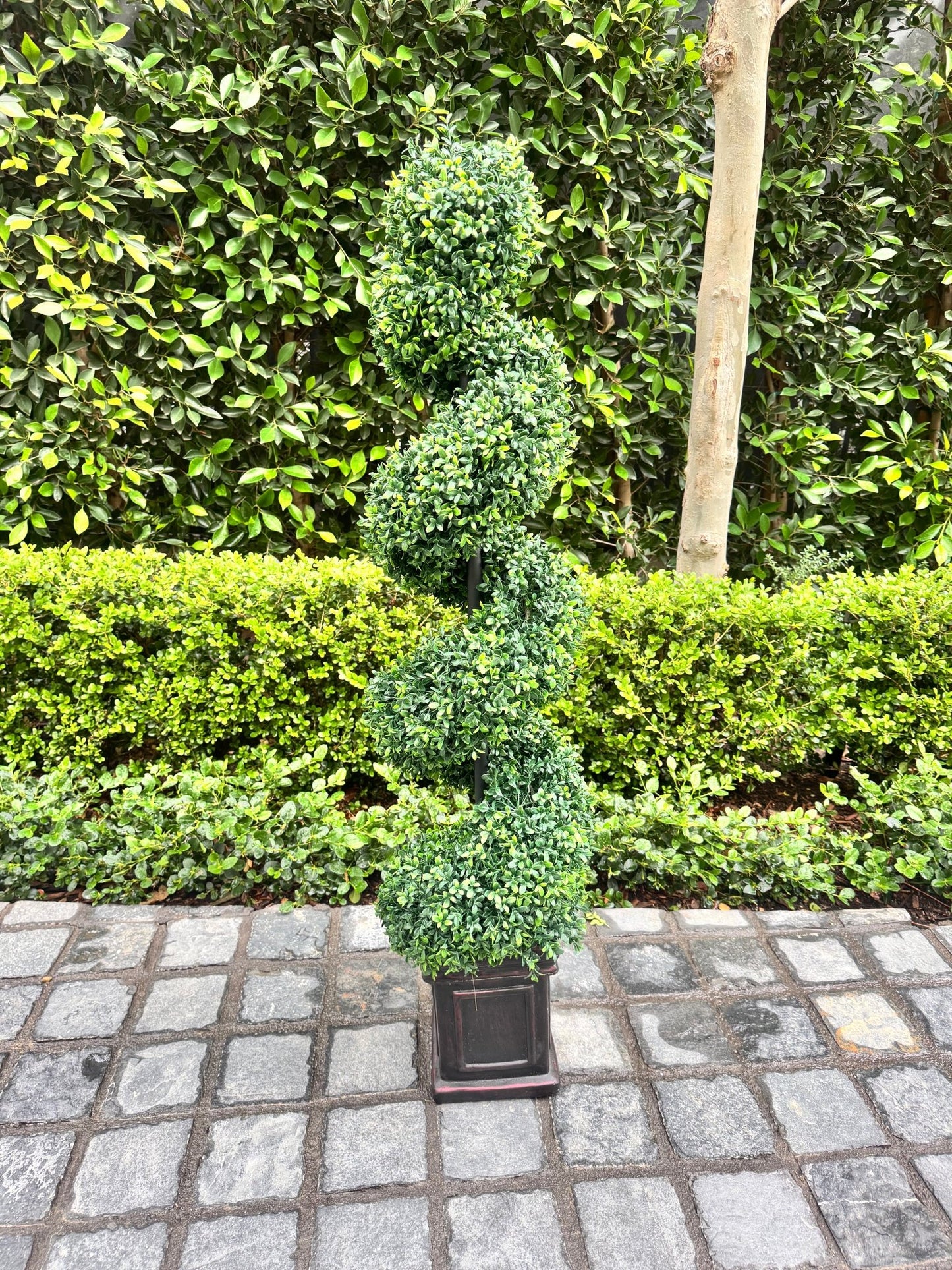 Spiral Topiaries - Custom Prop Rentals