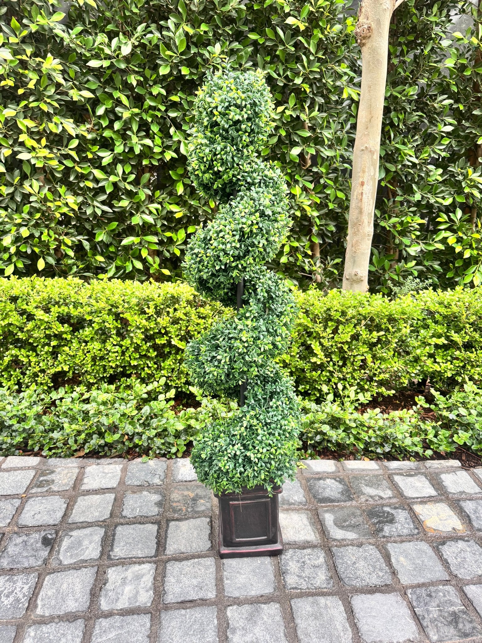 Spiral Topiaries - Custom Prop Rentals