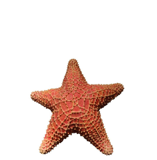 Starfish - Custom Prop Rentals