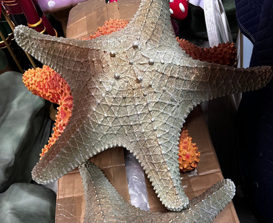 Starfish Green - Custom Prop Rentals