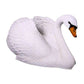 Swan Life Size White - Custom Prop Rentals
