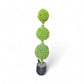 Topiaries with LED - Custom Prop Rentals
