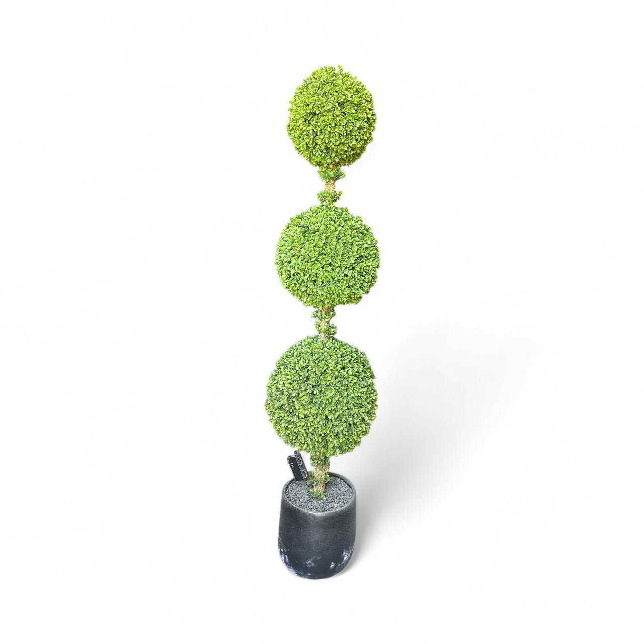 Topiaries with LED - Custom Prop Rentals