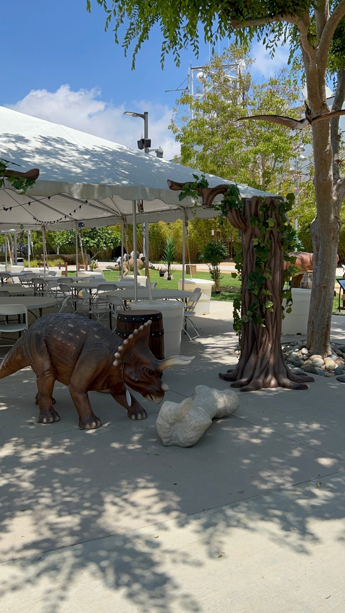 Triceratops Dinosaur - Custom Prop Rentals