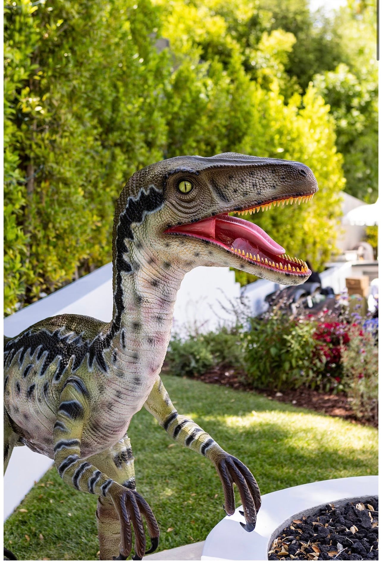 Velociraptor Delta Dinosaur - Custom Prop Rentals