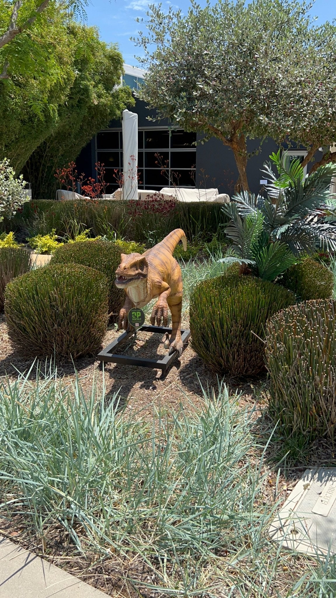 Velociraptor Dinosaur On Base - Custom Prop Rentals