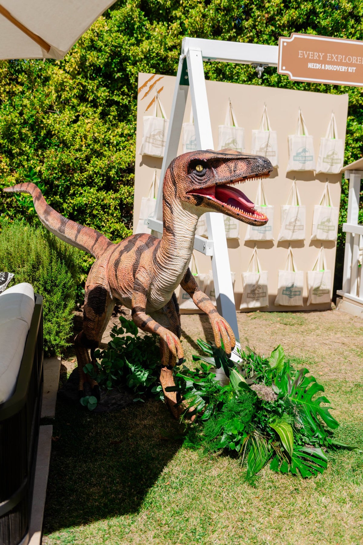 Velociraptor (Echo) Brown/Orange Dinosaur - Custom Prop Rentals