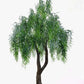 Weeping Willow Tree 10ft - Custom Prop Rentals