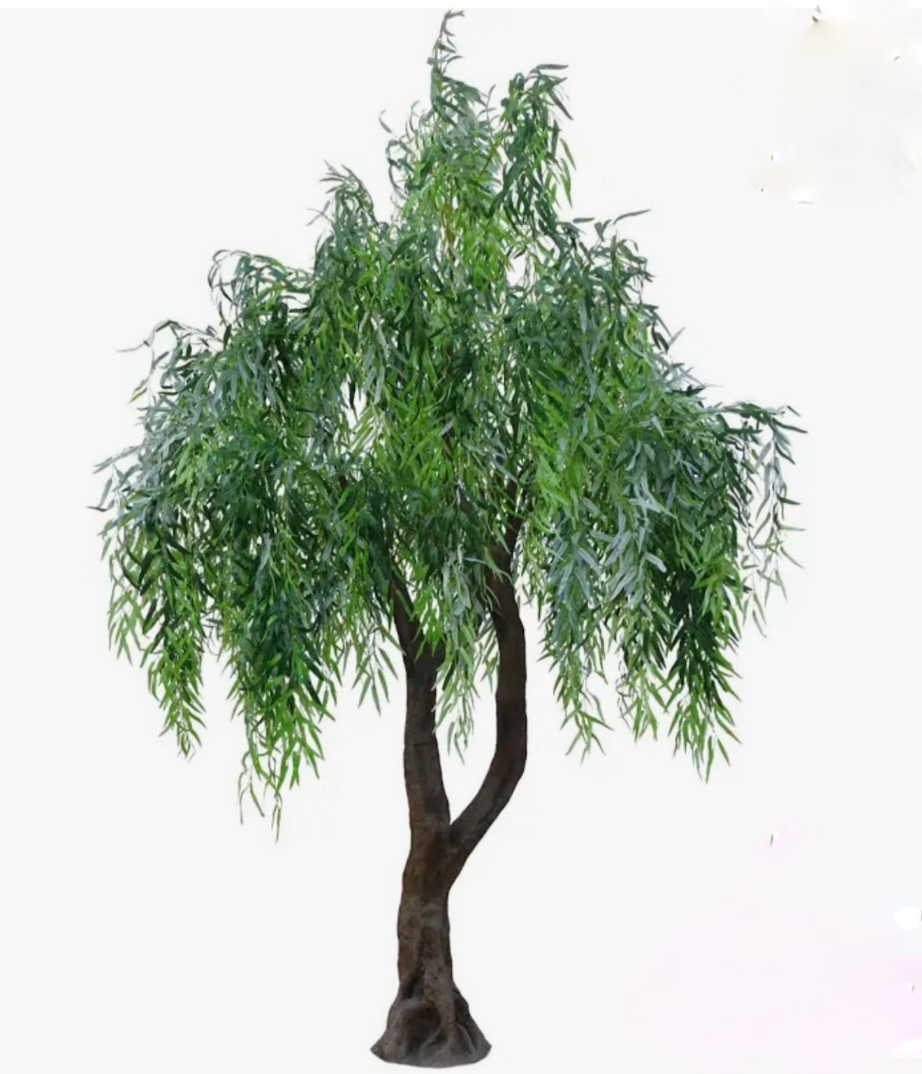 Weeping Willow Tree 10ft - Custom Prop Rentals