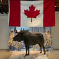 Winter Backdrop Package - Custom Prop Rentals
