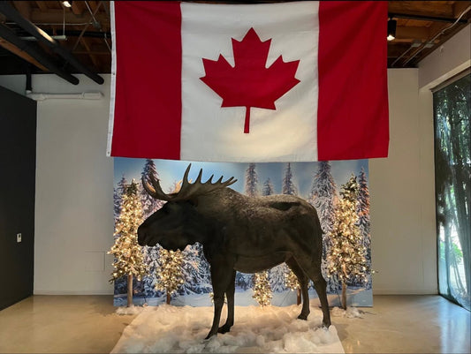 Winter Backdrop Package - Custom Prop Rentals