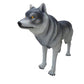 Wolf Life Size - Custom Prop Rentals