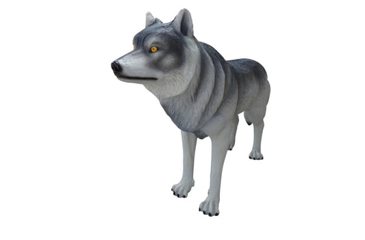 Wolf Life Size - Custom Prop Rentals