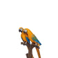 Yellow Macaw Lover Parrot on Branch - Custom Prop Rentals