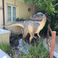 Allosaurus Dinosaur Head Turned