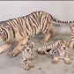 Siberian Cub Laying