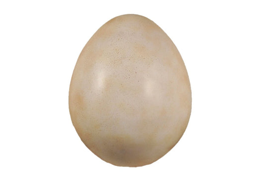 Dinosaur Jumbo Egg