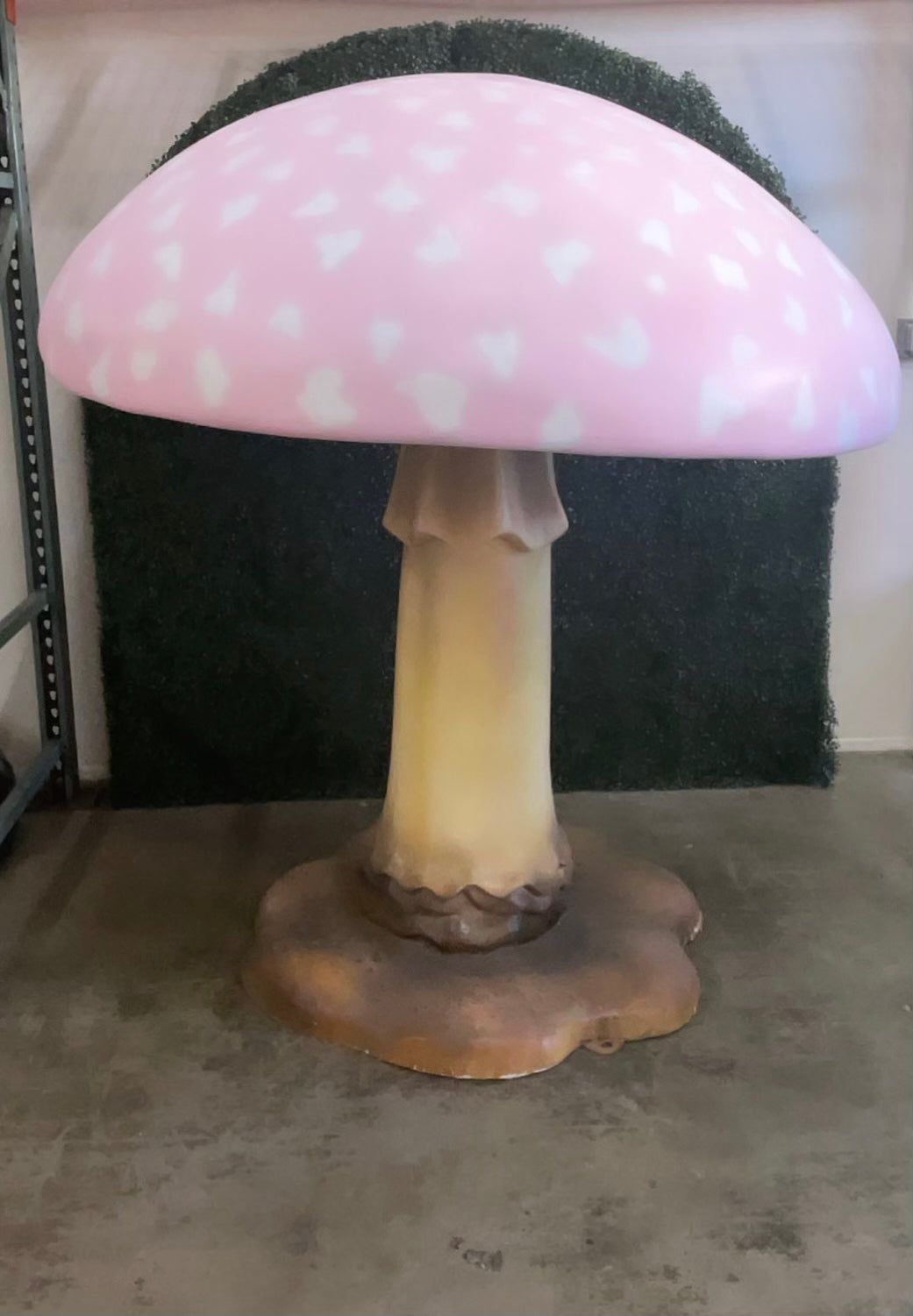 Mushroom Rosetta Pink  6ft