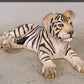 Siberian Cub Laying