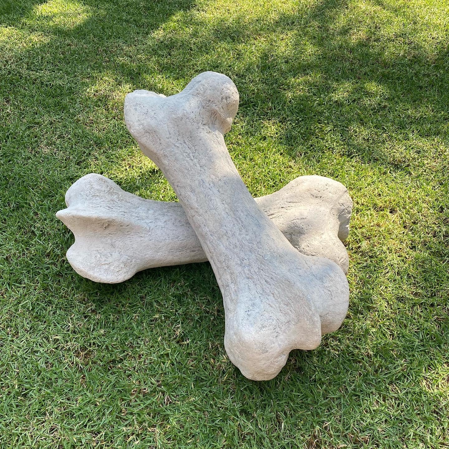 Giant Dinosaur Bone