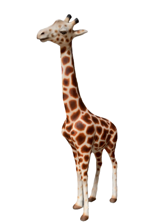 Giraffe Walking Head Tilt