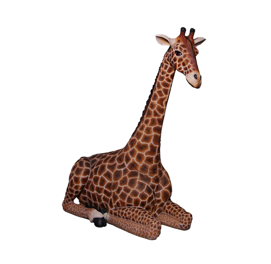 Giraffe Sitting